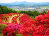 「春だって楽しい茨城県の笠間山　桜やつつじで目の保養」の画像2