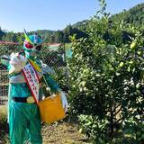 「ご当地ヒーロー「じゃばライダー」が2年越しで完成させた“究極の爽快感”！　生搾り級サイダーを新発売」の画像2