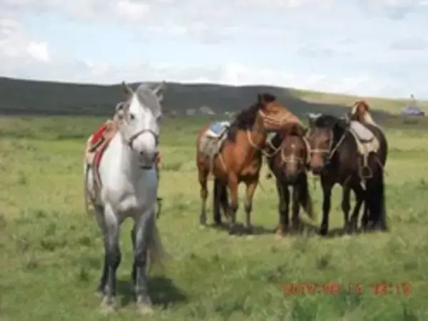 香りが繋ぐ過去と今 【コラム カニササレアヤコのNEWS箸休め】