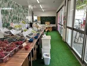 大阪・柏原市に「試食しないと買えない」ぶどう直売所が7月3日オープン　味を確かめてから選ぶ直売体験を提案