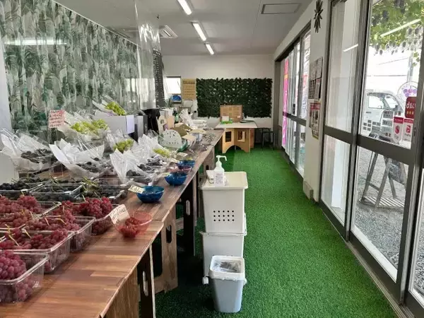 大阪・柏原市に「試食しないと買えない」ぶどう直売所が7月3日オープン　味を確かめてから選ぶ直売体験を提案