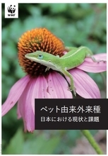 動物の外来種化は「ペット利用」　農作物の被害や感染症も、WWFが報告書を発表