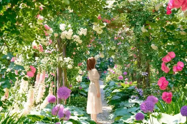 約600種4000株のバラが見頃　熱海市の「ACAO FOREST」　