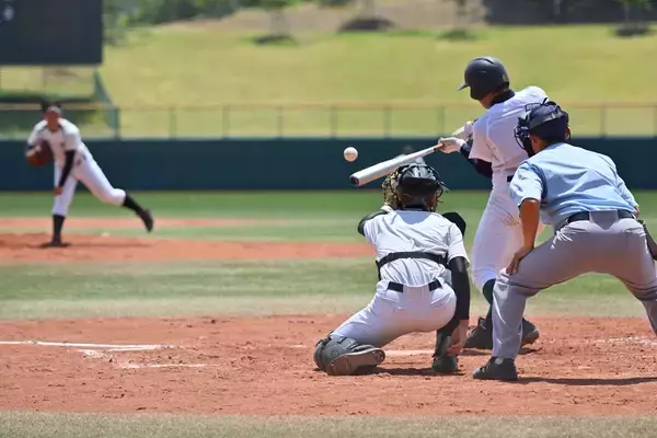 プロ野球人気の陰で進む“野球離れ”　10代の野球人口は20年で半減、男子の実施率は過去最低に