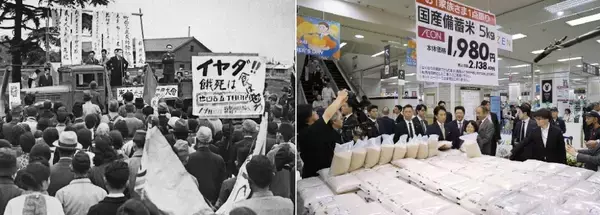 「戦後日本の「食」と「社会」を振り返る報道写真展「食の戦後史」　２月10日、東京・汐留の地下歩道で開幕」の画像