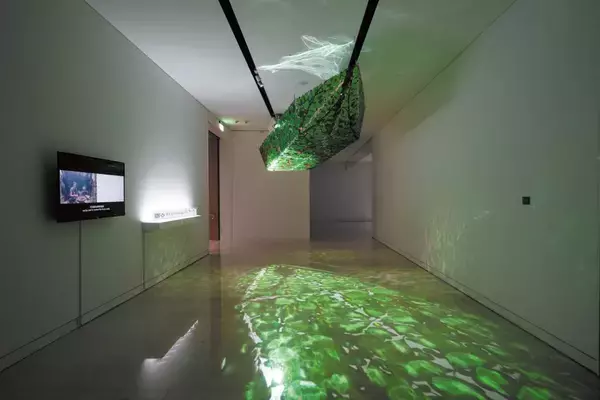 「映像とアートの国際フェスティバル東京都写真美術館」の画像