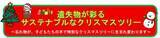 「遺失物が彩るクリスマスツリー　JR博多駅にサステナブルなツリーが登場」の画像1