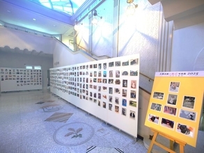 横浜市の大佛次郎記念館でネコがいっぱいの写真展　お気に入りの一枚に投票も