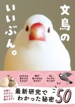 文鳥にモテたい人にオススメ　研究や論文から得た知見が一冊に
