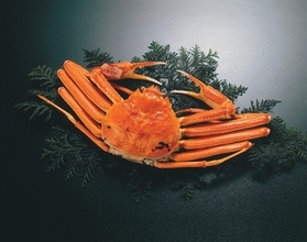 カニ取り県の冬の味覚を楽しむ　東京・丸の内でフェア