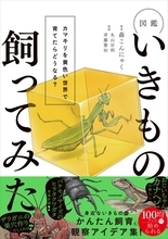 カマキリを黄色い世界で育てたら　いきもの観察の世界
