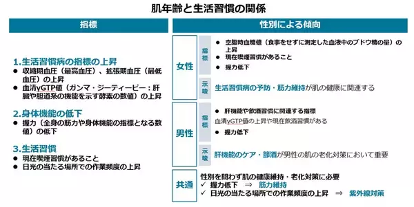 「肌の老化は生活習慣や身体機能の低下が関係　キューサイ、九州大などの共同研究、学術誌で公開」の画像