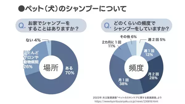 「「愛犬のシャンプー、手軽に時短でケアしたい」日繊商工、犬用の吸水タオル「モフ モココ」を発売」の画像