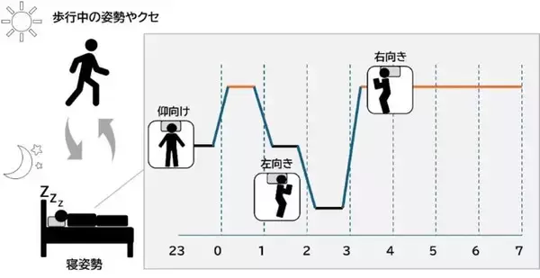 寝姿勢の“クセ”が睡眠の質や日中の姿勢に影響　花王が最新研究を発表　
