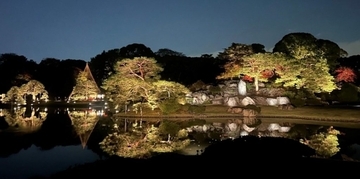 六義園で夜間特別開園＆紅葉のライトアップ　プロジェクション投影も駆使して幻想的な空間を創出