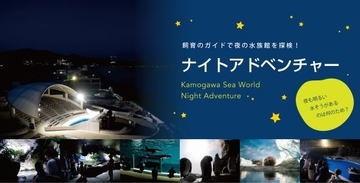 夜の水族館を探険　鴨川シーワールドで春のナイトアドベンチャー