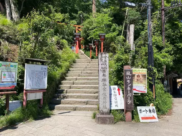 「【スズキナオが聞く“発酵する人々”】第4回　お酒の神様「松尾大社」神職・西村伴雄さんに「神社とお酒のこと」を聞く」の画像