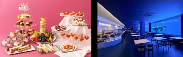 シャチを眺めながらイチゴスイーツや食事を楽しむ　神戸須磨シーワールドのレストランで冬のビュッフェ企画