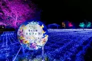 舎人公園が青に染まる「花と光のムーブメント」　4月26日まで開催中
