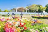 「舎人公園が青に染まる「花と光のムーブメント」　4月26日まで開催中」の画像2