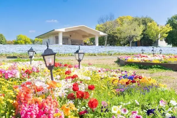 「舎人公園が青に染まる「花と光のムーブメント」　4月26日まで開催中」の画像