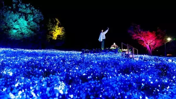 「舎人公園が青に染まる「花と光のムーブメント」　4月26日まで開催中」の画像