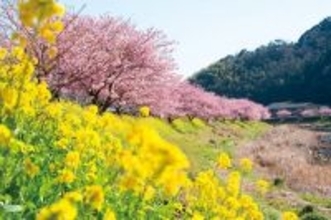 春の色彩で一面に染まる季節へ　「じゃらん 春らしさを感じる花絶景ランキング」発表、1位の絶景は？