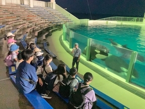 夏休み、夜の鴨川シーワールドで裏側探険　マザー牧場やフィールドアスレチックも楽しむ2泊3日の子ども向けプログラム
