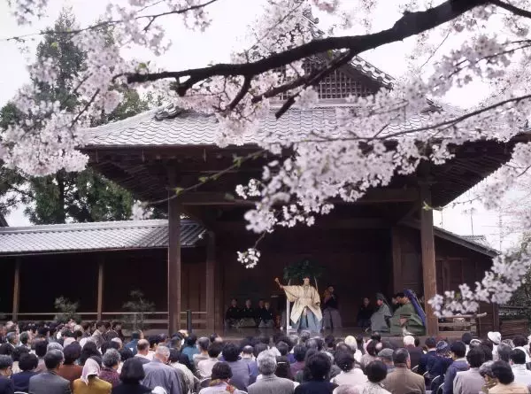 桜舞う春の丹波篠山、重要文化財で能舞台を堪能　4月11日に「第51回篠山春日能」