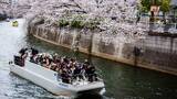 「まだ間に合う隅田川花火大会　花火クルーズの予約受付スタート」の画像2