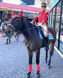 「いろいろな車を見て、触れて、体験して学ぼう「働く乗り物大集合！キッズパークたまどうまつり2026」」の画像3