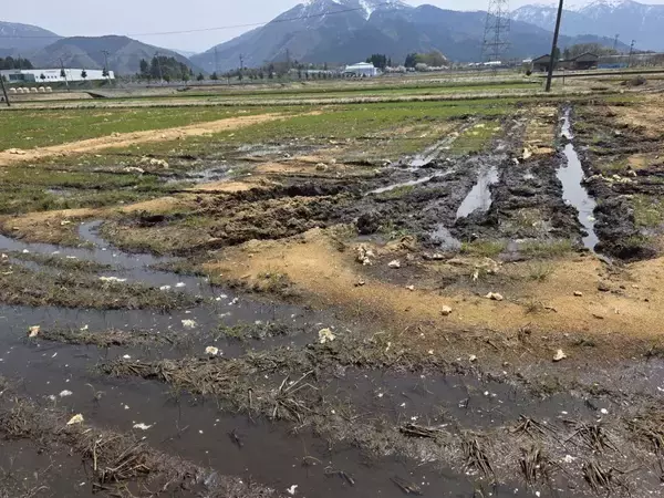 「老舗酒蔵が挑む“循環型酒造り”の結晶　酒粕を活用した純米大吟醸「廻」が誕生」の画像