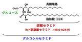 「発酵したカカオ豆の種皮が高濃度のセラミドを含有　帝京大と明治の共同研究で発見、有効活用に期待」の画像1