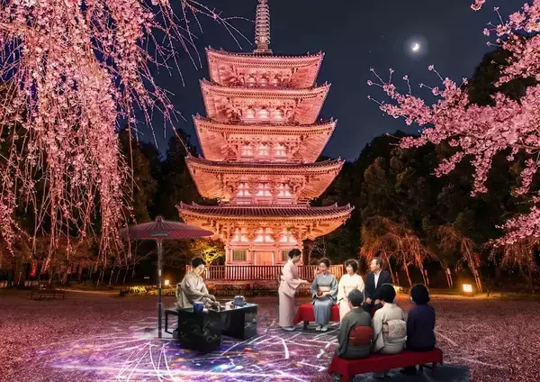 「世界遺産で夜桜を楽しむ　京都・醍醐寺がネイキッドとコラボ」の画像