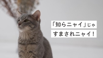 「知らニャいじゃ済まされニャい」　関東の九都県市首脳会議廃棄物問題検討委員会がプラスチックごみの分別を啓発