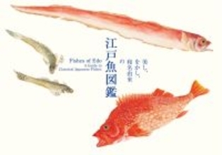 日本人と魚の奥深い物語　美術鑑賞のように眺められる江戸の写生図譜
