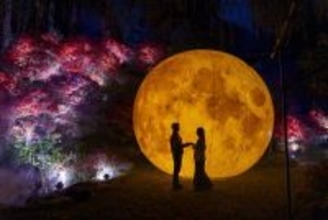 ツツジの名所で夜間ライトアップ　ランハンシャが福岡県糸島市の浮嶽幸花樹園で演出