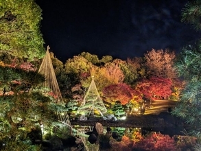 絵画の中へ誘う輝く紅葉　東京・足立区の花畑記念庭園で夜間ライトアップ