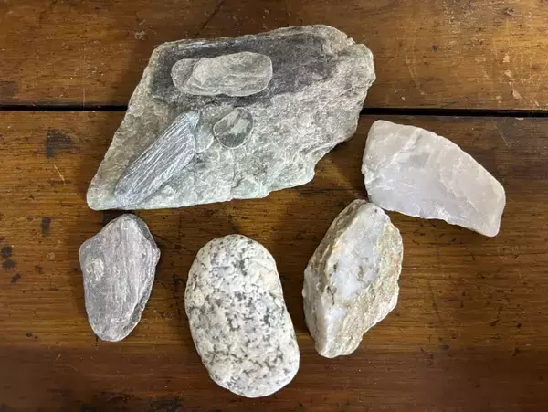 「集める」狂気と愛　【コラム カニササレアヤコのNEWS箸休め】