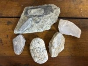 「集める」狂気と愛　【コラム カニササレアヤコのNEWS箸休め】