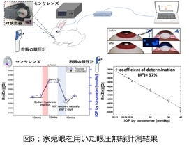「視る」から「診る」レンズへ　早大などが従来比183倍の高感度で眼圧を測るスマートコンタクトレンズを開発