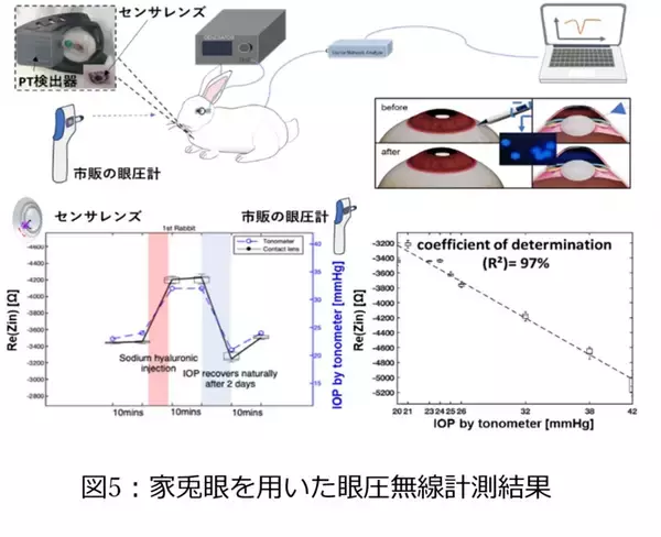 「視る」から「診る」レンズへ　早大などが従来比183倍の高感度で眼圧を測るスマートコンタクトレンズを開発