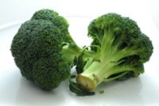 ブロッコリーが指定野菜に　日本唯一のGI登録は「大山ブロッコリー」