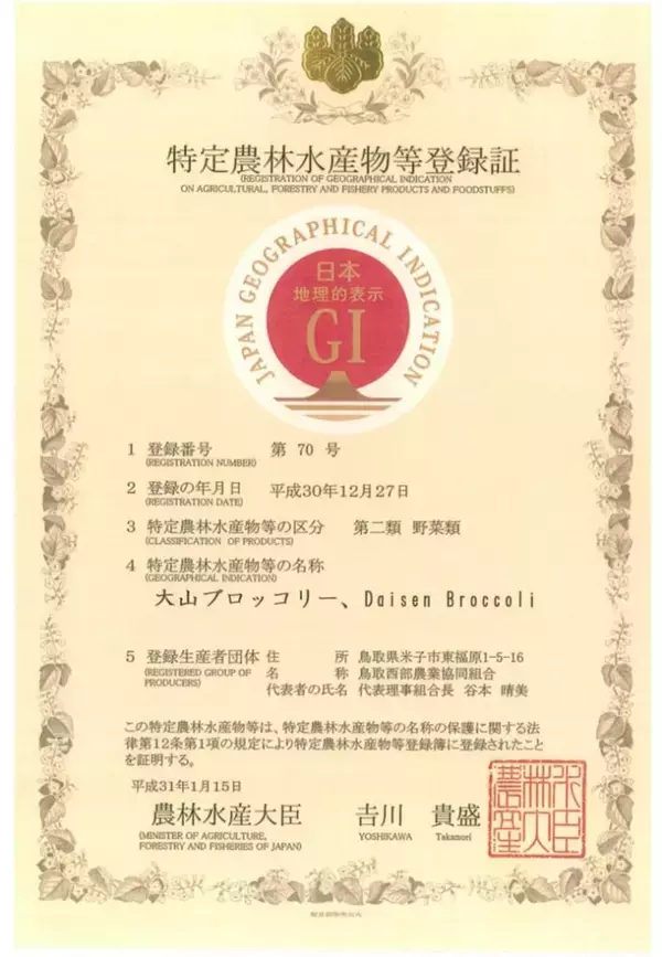 「ブロッコリーが指定野菜に　日本唯一のGI登録は「大山ブロッコリー」」の画像