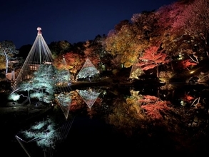 東京・文京区の細川庭園で紅葉ライトアップ　竹あかりと織りなす幻想的な9日間