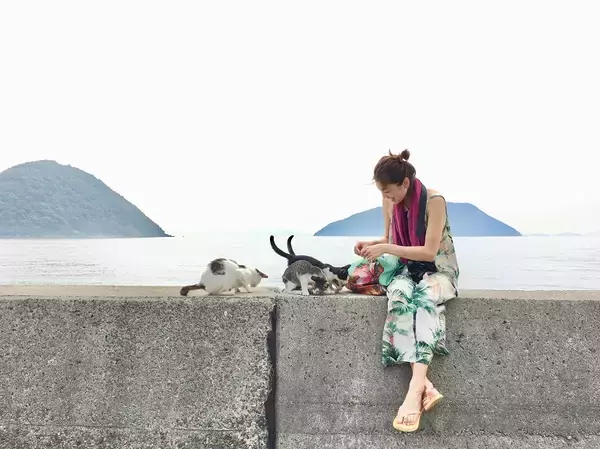 コラム「旅作家 小林希の島日和」　国境の島の田んぼ