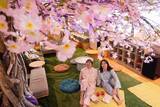 「埼玉のおふろcafe utataneで花粉症でも楽しめる　“お花見”イベントを開催中」の画像2