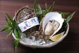 「鳥取県産天然イワガキ今季初出荷　素潜りで取った絶品の「夏輝」」の画像1