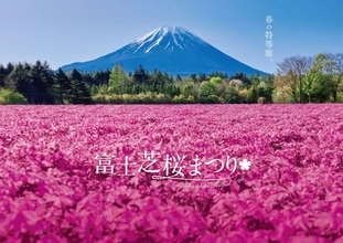 富士山麓が一面ピンクに染まる　富士本栖湖リゾートで春の祭典「富士芝桜まつり」