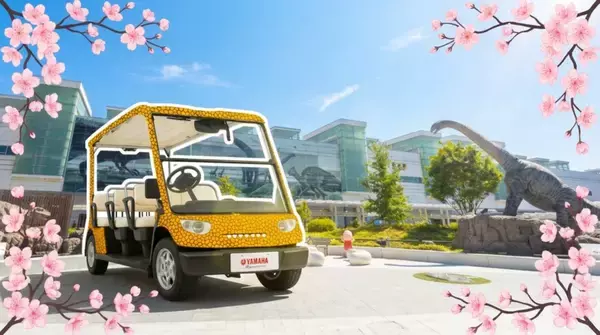 福井の春を“ふくトゥク”で巡る特別体験　桜名所を走るプライベートライドが3月21日スタート